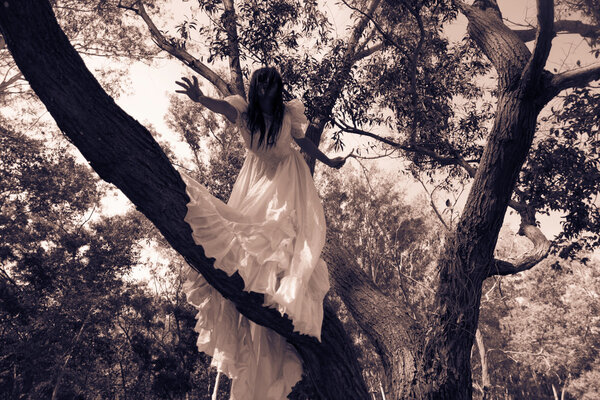 Mysterious Woman in White Dress in the Forest,Scary Woman in the Wood,Horror Background For Halloween Concept and Book Cover Ideas