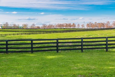 Green pastures of horse farms. Country spring landscape.  clipart