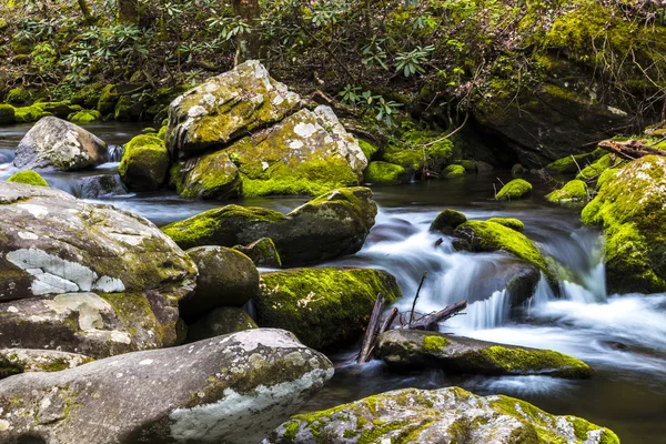 Florida mokřadní, přírodní krajina — Stock fotografie