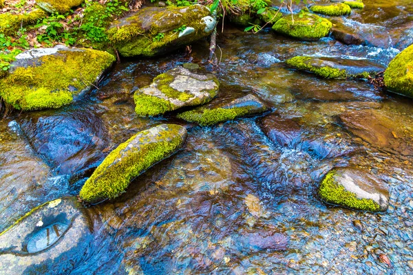 Ławka. Woda spływa kaskadami nad skały w parku narodowym Great Smoky Mountains. — Zdjęcie stockowe