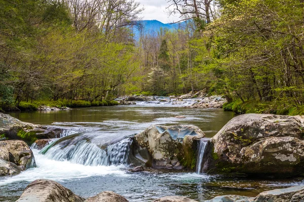 Waldbach mit Wasserfällen. — Stockfoto