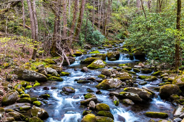 Forest creek. Vattenkaskader över moss omfattas klippor. — Stockfoto