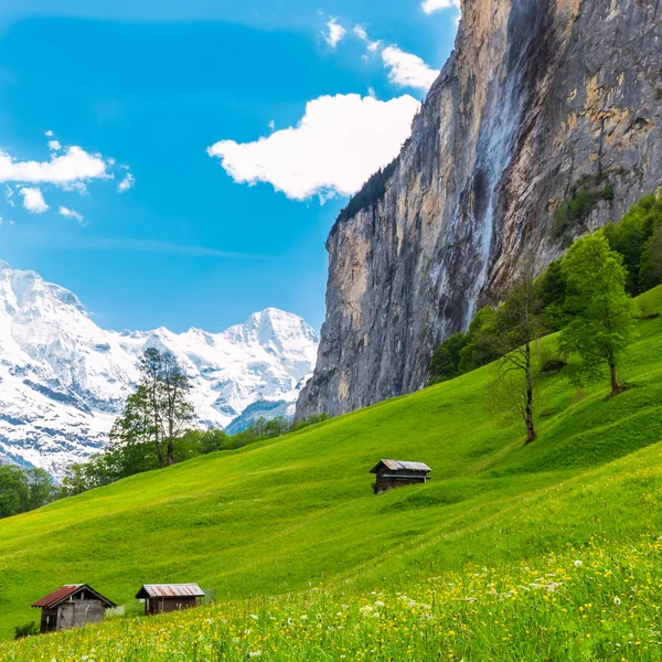 Vieux chalets sur le versant verdoyant de la montagne. Alpes suisses. Lauterbrunnen , — Photo