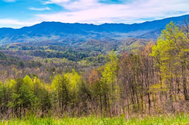 Great Smoky Mountains National Park Scenic Sunrise Landscape. clipart