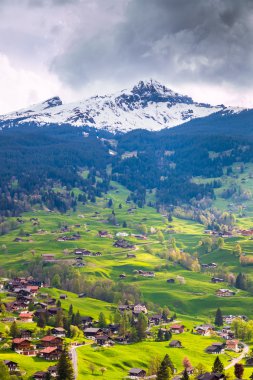 Grindelwald vadi yeşil yamaçları o dağınık köy ile