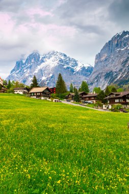 Grindelwald vadi yeşil yamaçları o dağınık köy ile