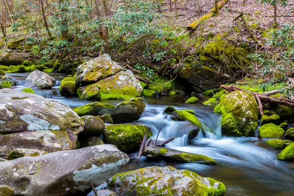 Forest Creek. Cascate d'acqua su rocce ricoperte di muschio . — Foto Stock