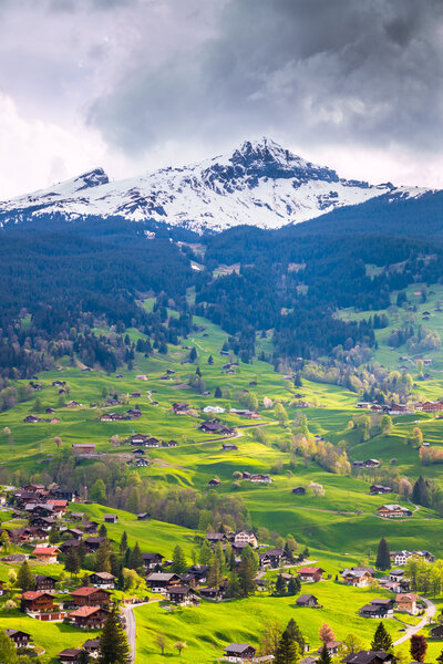 Grindelwald valley with village scattered on the green slopes of Bernese Alps at evening golden hour. Grindelwald village in Switzerland is a popular gateway for skiing in winter and hiking in summer.
