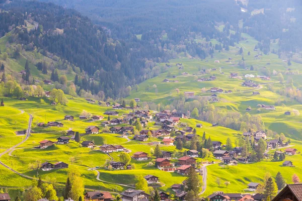 Vallée de Grindelwald avec village dispersé sur les pentes verdoyantes — Photo