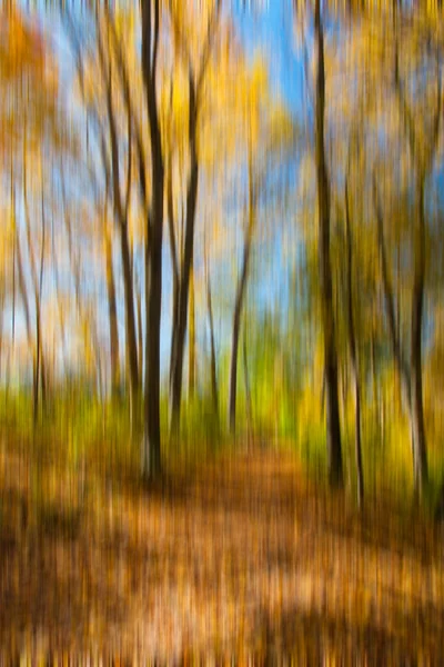 Bewegung verschwimmt Bäume. natürlicher Waldhintergrund mit Schwenkbewegung. abstrakte Herbstlandschaft. — Stockfoto