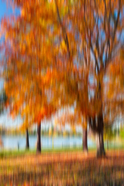 Pohybu rozmazaný stromy. Přirozený les pozadí s panorámovacích pohybů. Abstraktní podzimní krajina. — Stock fotografie
