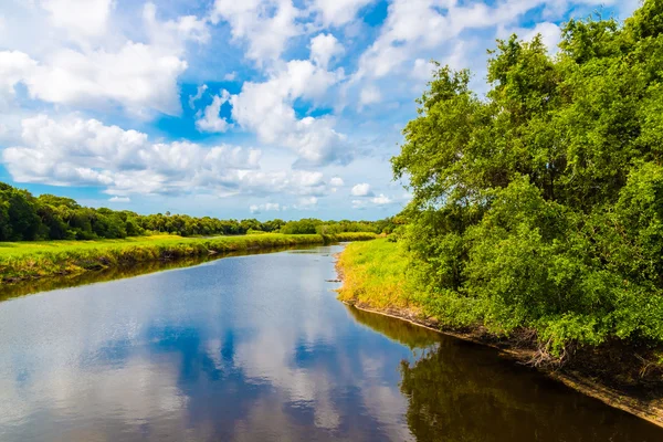 夏天与河的自然景观。湿地在佛罗里达州，美国 — 图库照片