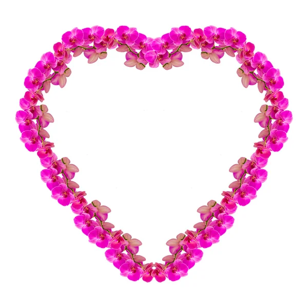 Heart shape frame made from orchid flowers isolated on white — Stock Photo, Image