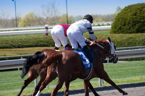 Lexington Usa April 2010 Vollblutpferderennen Auf Der Keeneland Rennstrecke Frühjahr — Stockfoto