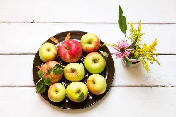 Récolte fraîche de pommes — Photo