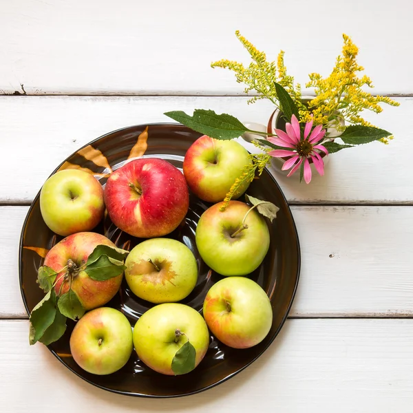 Verse oogst van appels — Stockfoto