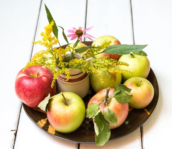 Verse oogst van appels — Stockfoto