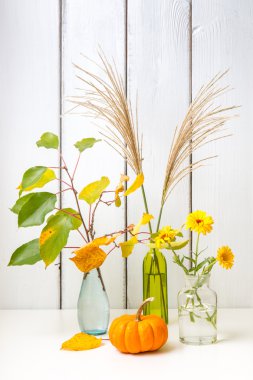 Sonbahar sakin bir hayat