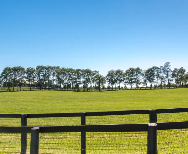 Doppelter Zaun am Pferdehof. — Stockfoto