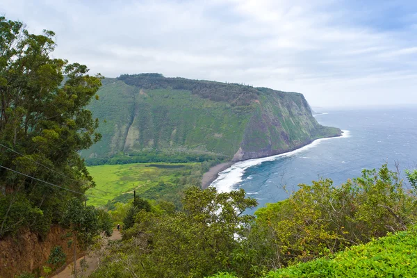 Hermosa línea costera del océano Pacífico, valle de Waipio, Hawai . — Foto de Stock