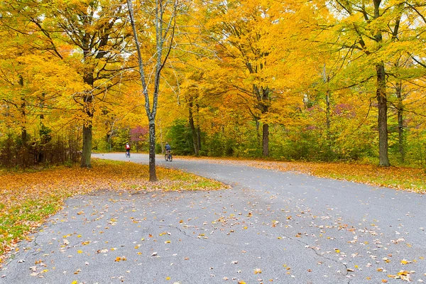 Renkli sonbahar Park — Stok fotoğraf
