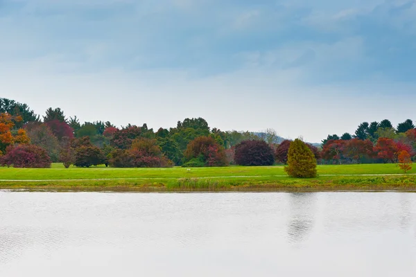 Groupe d'arbres d'automne colorés debout sur une prairie au bord du lac . — Photo