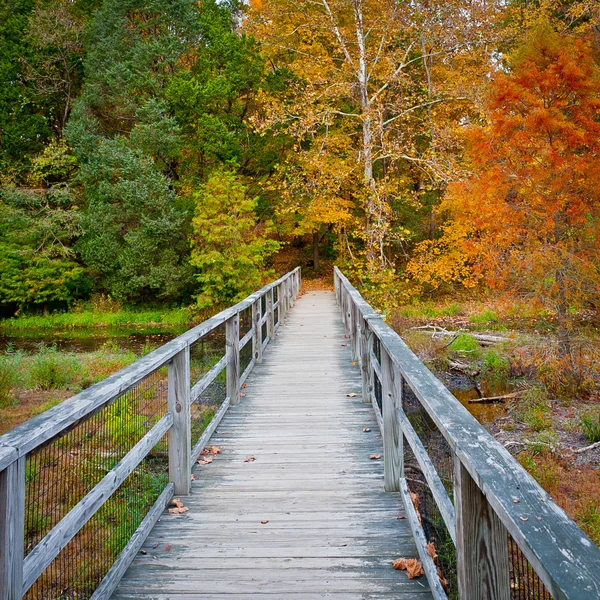 Puente de madera sobre arroyo en bosque de otoño . —  Fotos de Stock