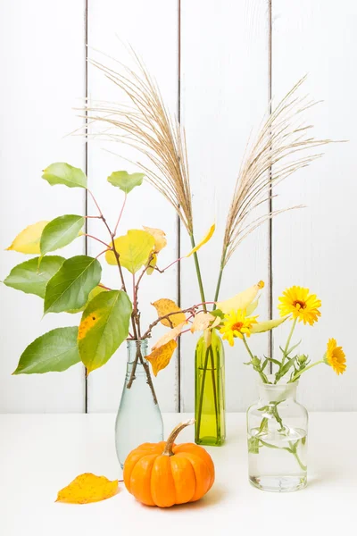 Herbststilleben — Stockfoto