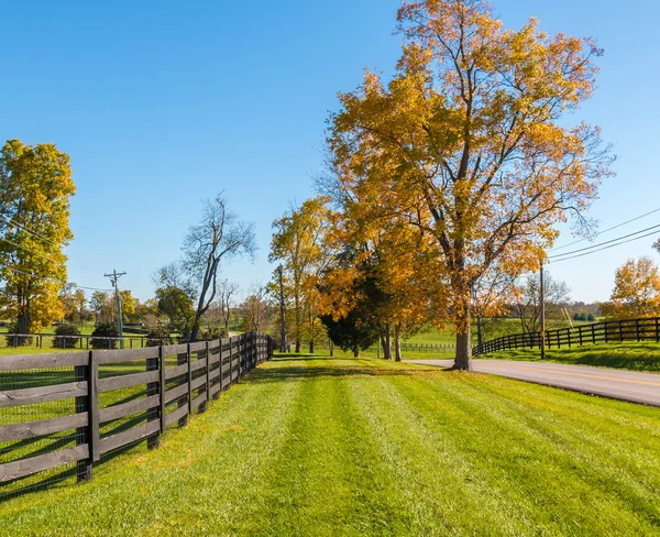 Paesaggio rurale — Foto Stock