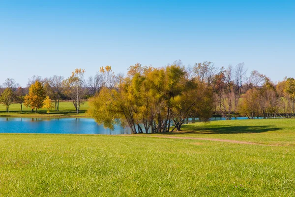 En liten damm på landsbygden — Stockfoto