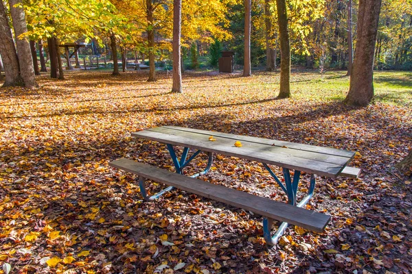 Picknickbord i skuggan av träd i park — Stockfoto