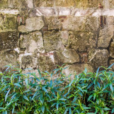 Arka plan doku duvar eski grunge taş 