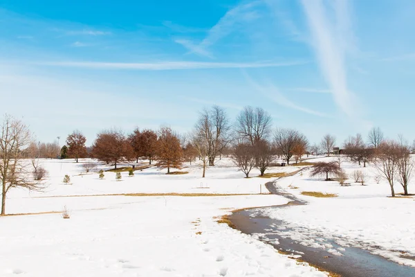 Snöig park, vinterlandskap — Stockfoto