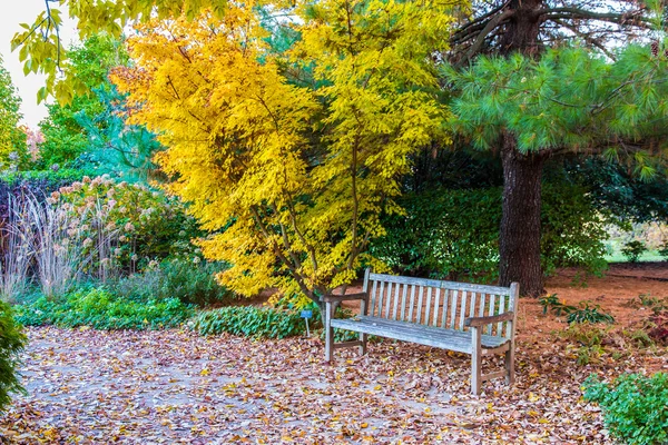 Bänk i höstparken. — Stockfoto