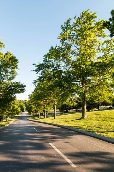 Weg in een park. — Stockfoto