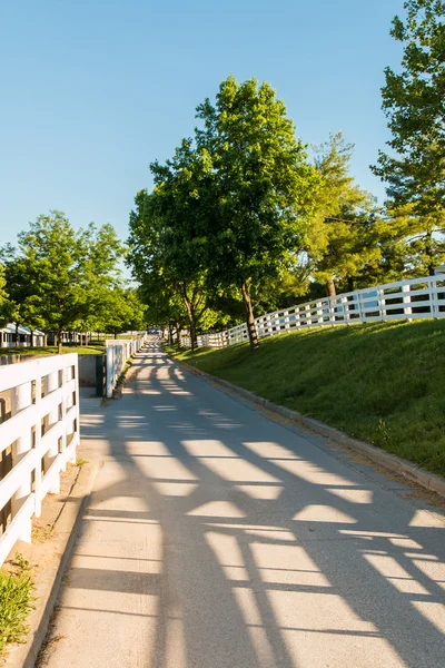 Landweg omgeven het paard boerderijen met avond hek shado — Stockfoto