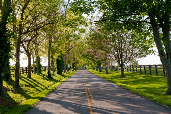 Camino del país — Foto de Stock