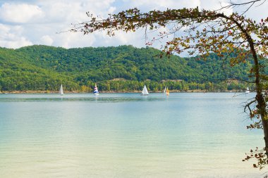 Yerel bir Gölü yelkenlileri Kentucky, ABD ile yaz manzarası