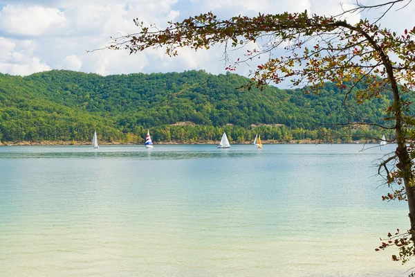 Sommaren syn på en lokal sjö med segelbåtar i kentucky, usa — Stockfoto