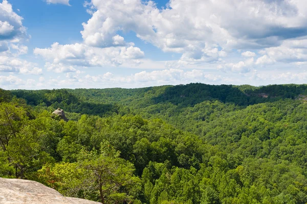 Floresta montesa. Red River Gorge em Kentucky, EUA — Fotografia de Stock