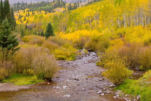 Paysage de montagne d'automne avec forêt et ruisseau par une journée nuageuse — Photo