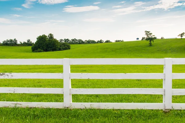 Landet sommar landskap. — Stockfoto