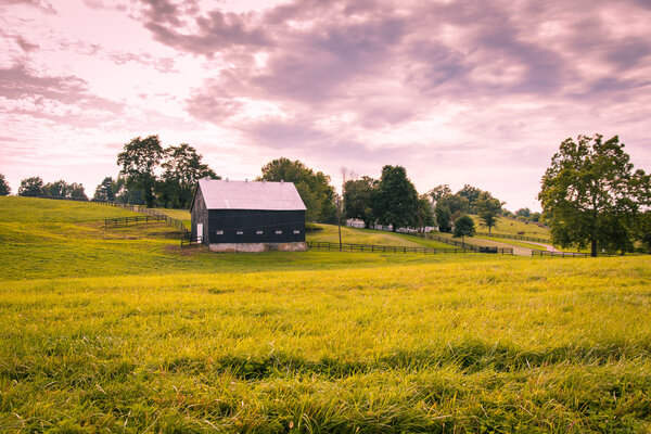 Sunset on countryside.