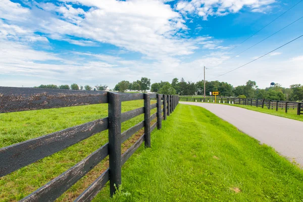 Landweg omgeven het paard boerderijen. — Stockfoto