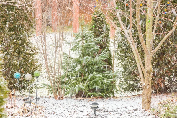 Snöfall i vinterträdgården — Stockfoto