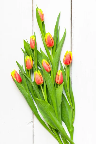 Flores de tulipán sobre fondo de madera blanca —  Fotos de Stock