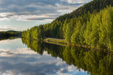 Skelleftea nehrinin sularına yansıyan ağaçlar