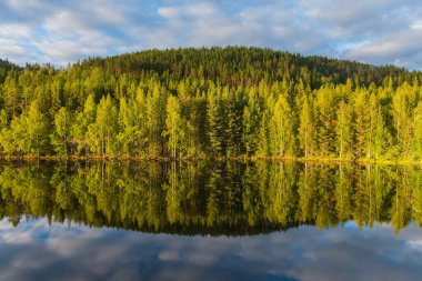 Skelleftea nehrinin sularına yansıyan ağaçlar
