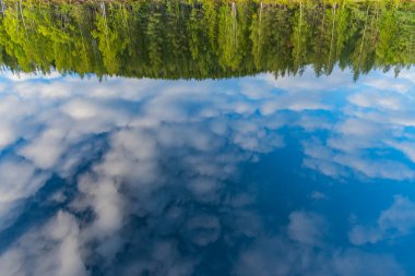 Skelleftea nehrinin sularına yansıyan ağaçlar