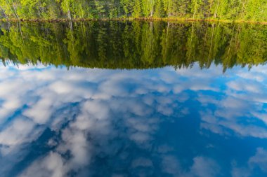 Skelleftea nehrinin sularına yansıyan ağaçlar